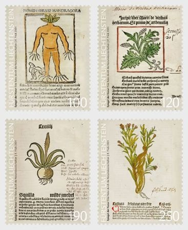 ��ҥƥ󥷥奿���󡧼����ʳؤ�ι(4)