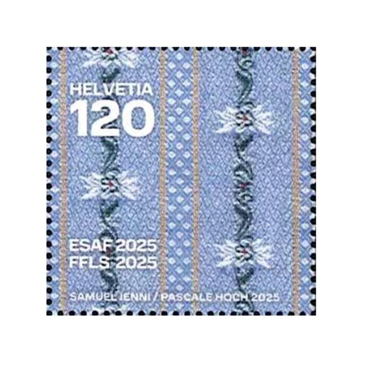 �����������������С�����ץ��פ�(1)����ո�