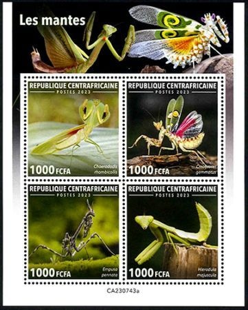 ������եꥫ�����ޥ���M/S(1)