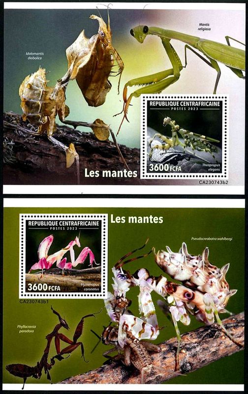 ������եꥫ�����ޥ����/S(2)