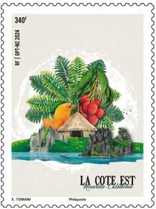 �˥塼����ɥ˥����쳤��(1)