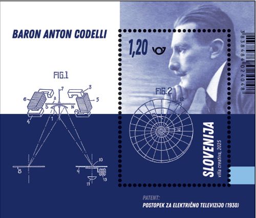 ٥˥٥˥εѰ仺S/S(1)