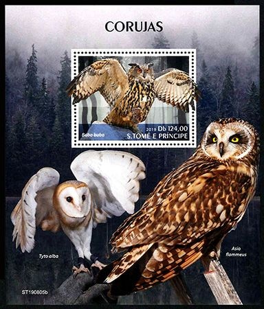 SALEۥȥץ󥷥ڡեS/S(1)