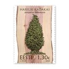 �����ȥ˥�������(1)