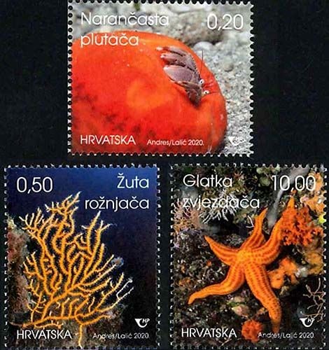 3590 外国切手 アゼルバイジャン 1995年 海の生物 5種完 3590 外国切手 アゼルバイジャン 1995年 海の生物 5種完 美術品