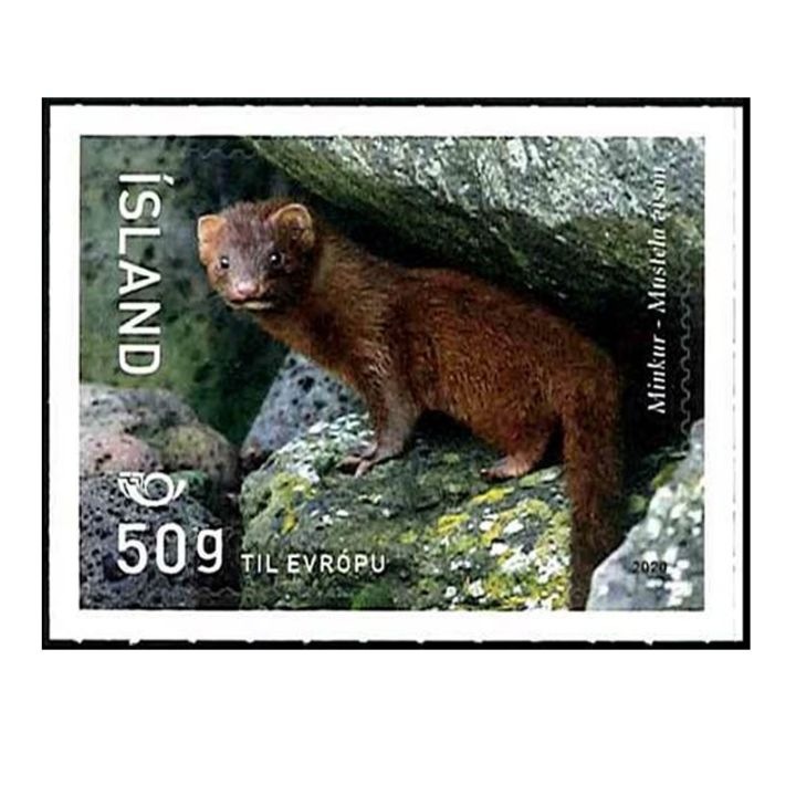 ��SALE�ۥ��������ɡ��Υ�ǥ��ڼ�(1)����ո�