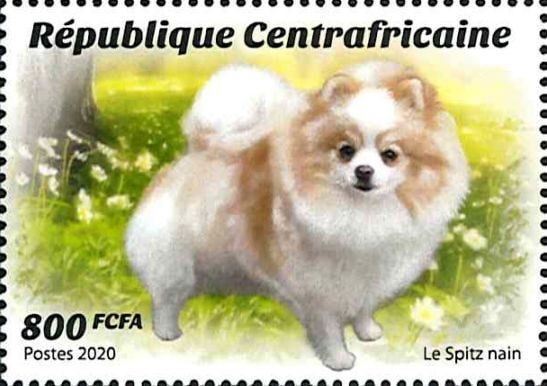 ������եꥫ������(1)