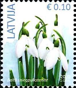 ��ȥӥ��������ڼ�/��(1)