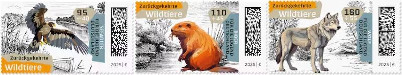 ɥġľǯΤ2025-˵äưʪ(3)ղö