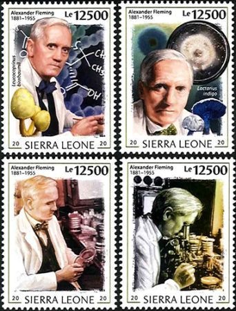 ������쥪�͡�A���ե�ߥ��׸�65ǯ(4)