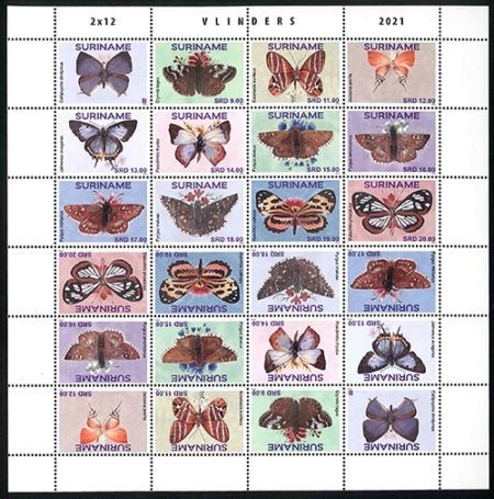 ����ʥࡧĳ�ե륷����(1)