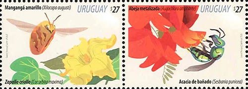 ���륰��������(2)Ϣ��