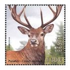 �����ȥ˥�����������(1)