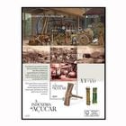 �ޥǥ��顧�衼���å�2025-�͸ų�Ūȯ��S/S(1)