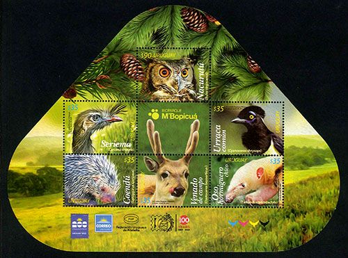 ���륰���������륰�����κ����M/S(1)