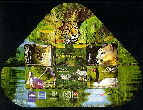 ���륰���������륰�����κ����(2��)M/S(1)