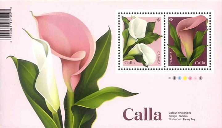 ���ʥ������顼S/S(1)