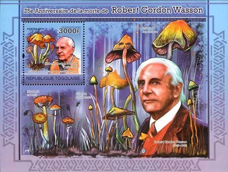 ȡΥȥå׸25ǯS/S(1)