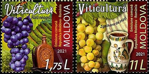 ���ɥС��磻���ѥ֥ɥ�(2)