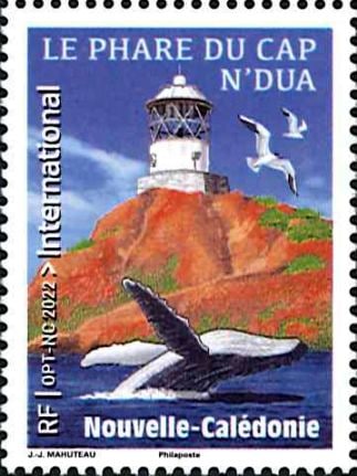 �˥塼����ɥ˥������� (1)