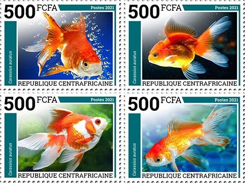 ������եꥫ�����(4)