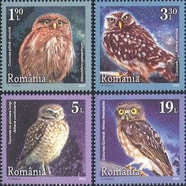 �롼�ޥ˥����ե�����(4)