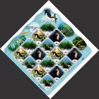 �ڹ񡧳����ݸ���ʪ �ե륷����(1)