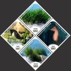 �ڹ񡧳����ݸ���ʪ(4)�ķ�