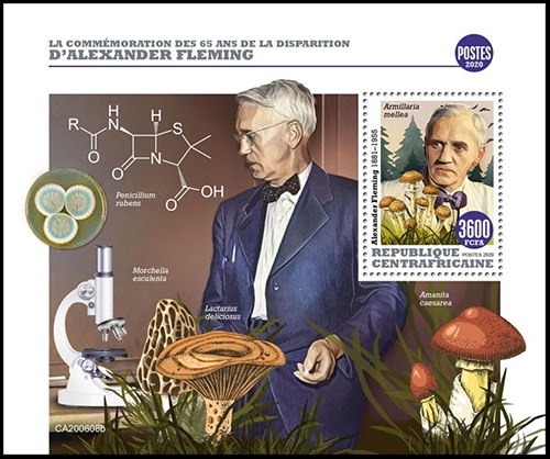 ������եꥫ�������ե�ߥ��׸�65ǯ��/S(1)