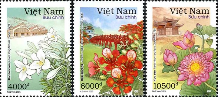 �٥ȥʥࡧ�ϥΥ��ε���β�(3)