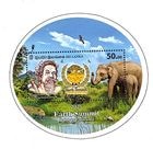 ������󥫡��ϵ奵�ߥå�S/S(1)