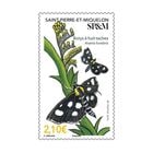 ����ԥ�����ߥ����󡧲�(1)