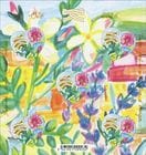 ��ͽ��ۥե�󥹡��ϡ����ڼ�2026-�ե饴�ʡ���M/S(1)������ŵ��