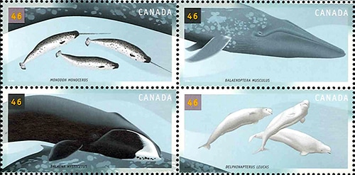 3584 外国切手 ノーフォーク島 クジラ 3種完+小型シート 3584 外国切手 ノーフォーク島 クジラ 3種完+小型シート