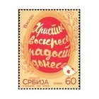 ����ӥ��������2025(1)