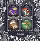 ��٥ꥢ���ƥ󥰥���M/S(1)