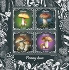 ��٥ꥢ���ݥ������M/S(1)