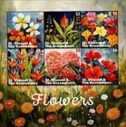 ����ȥӥ󥻥�ȡ�����ʥǥ����󡧲�M/S(1)