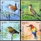 ���ɥС���Ļ(4)