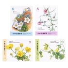 ���ѡ��⻳��ʪ3��(4)