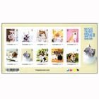 ���ѡ��ڥå�M/S(1)