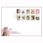 ���ѡ��ڥå�FDC(1)