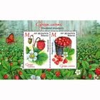 �٥�롼�������åɥ��ɥ��ȥ��٥꡼S/S(1)