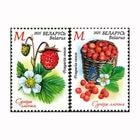 �٥�롼�������åɥ��ɥ��ȥ��٥꡼(32)