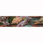 �ڹ����Ǥ��Τ�������ưʪ(4)Ϣ��