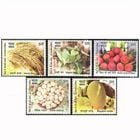 ����ɡ��ӥϡ��뽣������Ūɽ������(5)