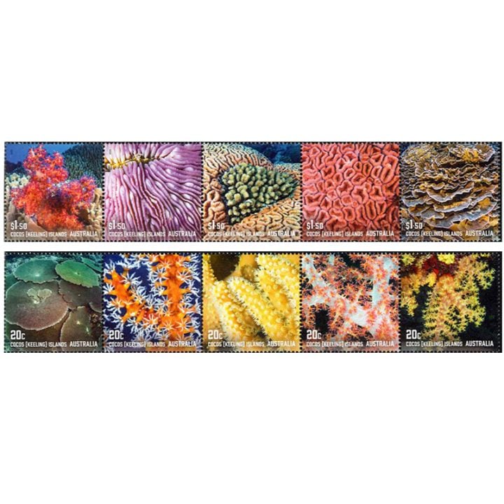 ���������硧�����(5)��Ϣ����2