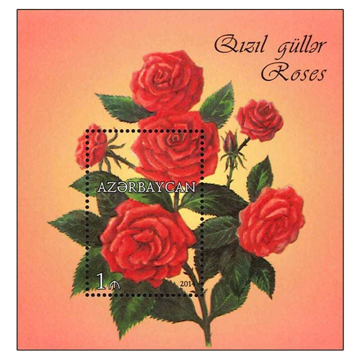 ��SALE�ۥ�����Х�����󡧥Х�S/S(1)