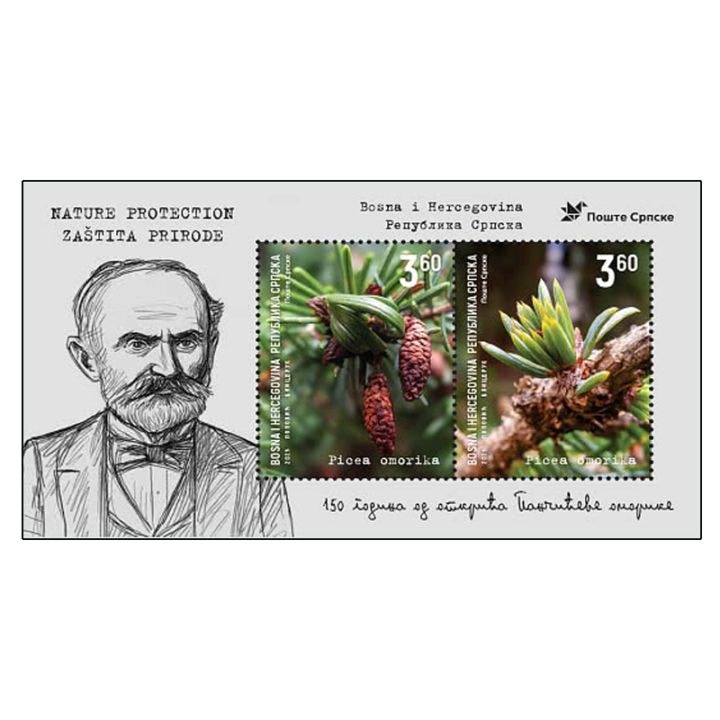 �ܥ��˥����إ�ĥ���������(����ӥ����϶�):�ѥ���å��Υȥ���ȯ��150ǯS/S(1)