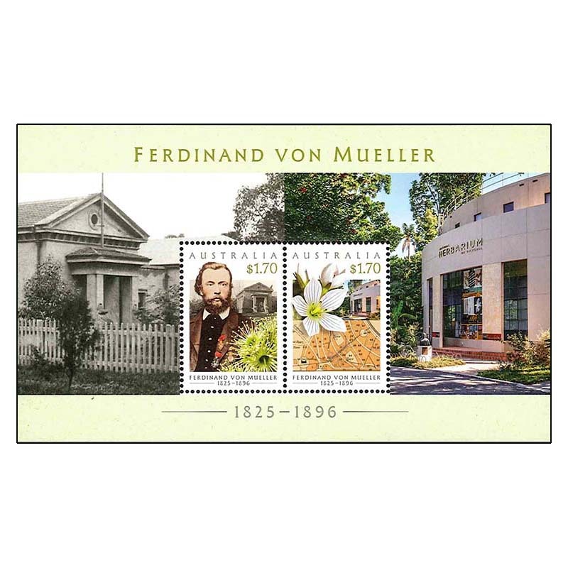 �������ȥ�ꥢ���ե���ǥ��ʥ�ȡ��ե��󡦥ߥ�顼S/S(1)